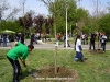 thumbs DSCN0374 016 Vedete și jurnaliști, la plantat de copaci cu Asus