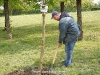thumbs DSCN0398 033 Vedete și jurnaliști, la plantat de copaci cu Asus