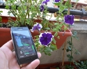thumbs 0013 Nokia X7 review