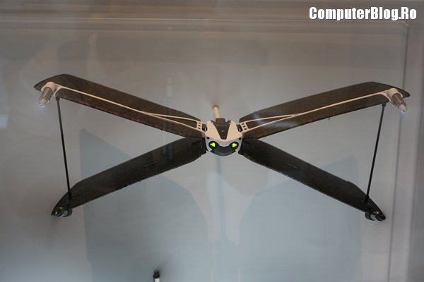 parrot-swing-drone